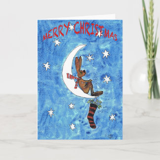 MERRY CHRISTMAS FEESTDAGEN KAART