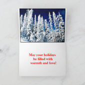 MERRY CHRISTMAS FEESTDAGEN KAART (Binnen)