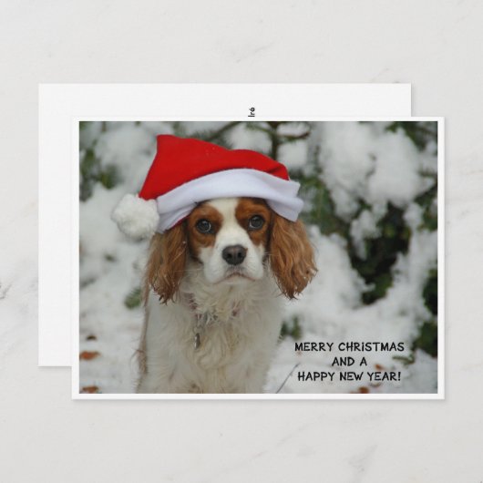 Merry Christmas from Charly Feestdagenkaart (Voorkant / Achterkant)