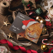 Merry Christmas from the Cat Feestdagen Kaart