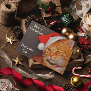 Merry Christmas from the Cat Feestdagen Kaart