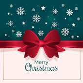 Merry Christmas Gift Tag Cadeaulabel