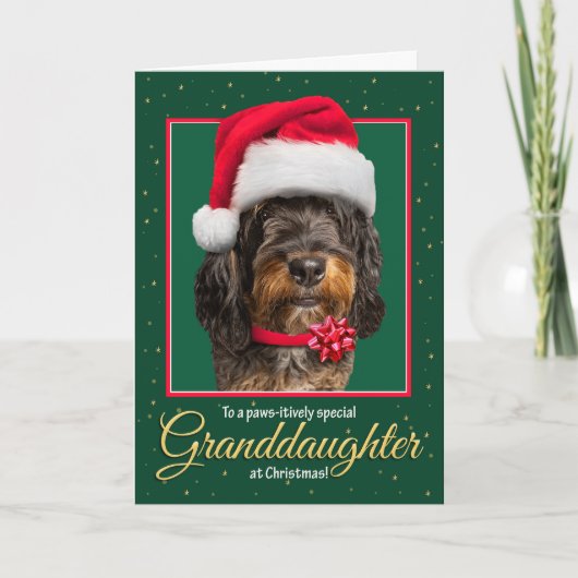 Merry Christmas Granddaughter Bernedoodle Dog  Feestdagen Kaart (Voorkant)