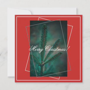 Merry Christmas Green Pine Fir Tree Wenskaart Feestdagenkaart