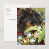 Merry Christmas Guinea Pig Briefkaart (Voorkant / Achterkant)