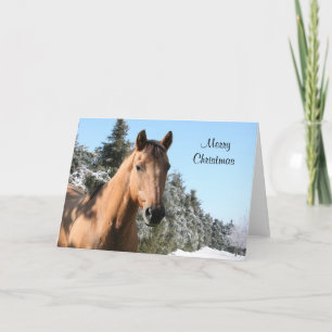 Merry Christmas horse Feestdagen Kaart