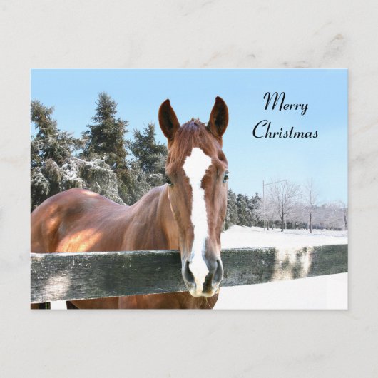 Merry Christmas horse Feestdagenkaart (Voorkant)