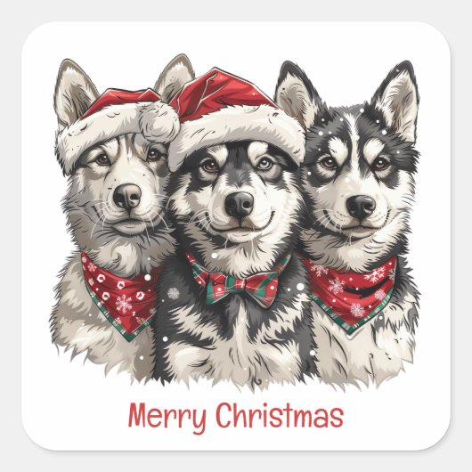 Merry Christmas Husky Dogs Vierkante Sticker (Voorkant)