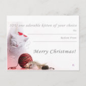 Merry Christmas I.O.U een kitten Feestdagenkaart (Voorkant)