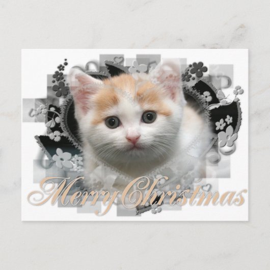 Merry Christmas Kitten - Vakantie Briefkaarten (Voorkant)