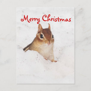 Merry Christmas Little Snowy Chipmunk Briefkaart