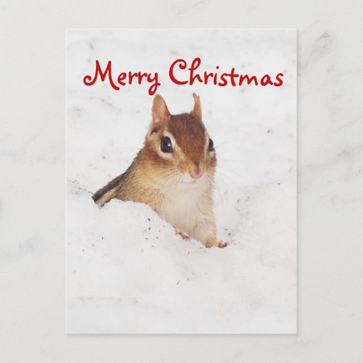 Merry Christmas Little Snowy Chipmunk Briefkaart (Voorkant)