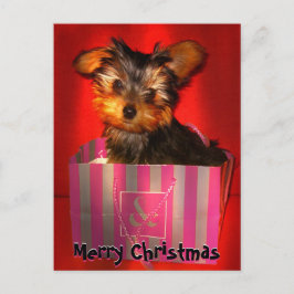 Merry Christmas Little Yorkie Feestdagenkaart