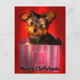 Merry Christmas Little Yorkie  Feestdagenkaart