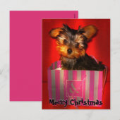 Merry Christmas Little Yorkie  Feestdagenkaart (Voorkant / Achterkant)