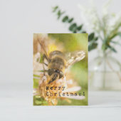 Merry Christmas Moth on Flower Briefkaart (Staand voorkant)