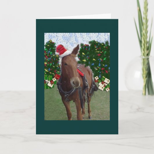 Merry Christmas Mule Card Feestdagen Kaart (Voorkant)