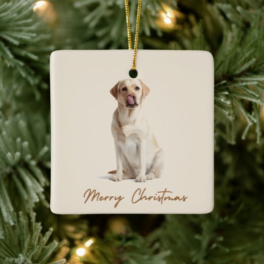 Merry Christmas Ornament Custom Dog Photo (Boom)
