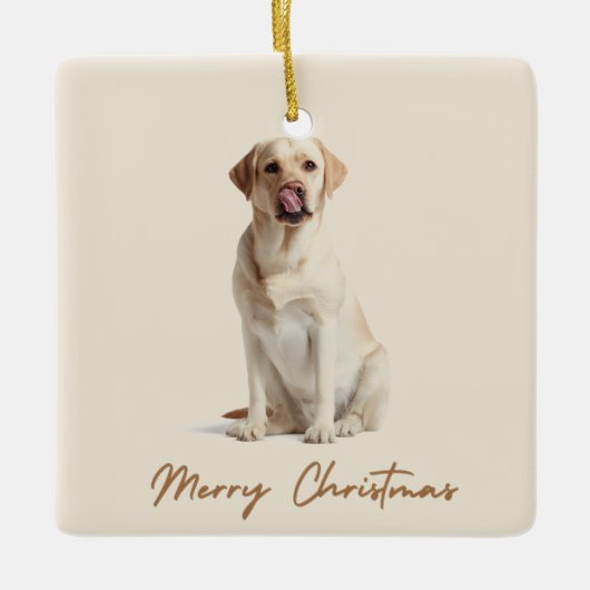Merry Christmas Ornament Custom Dog Photo (Voorkant)