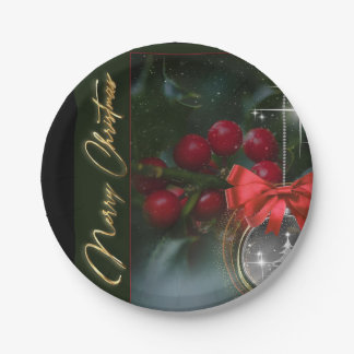 Merry Christmas Paper Plates Papieren Bordje