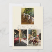 Merry Christmas Photo Card Feestdagenkaart (Achterkant)