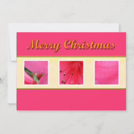 Merry Christmas roze bloem wenskaart Feestdagenkaart