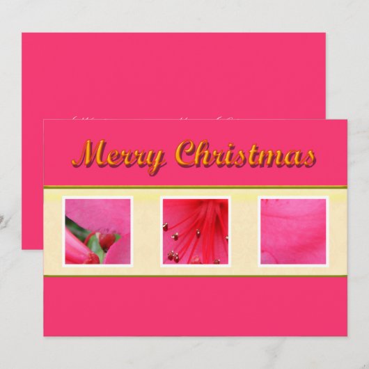 Merry Christmas roze bloem wenskaart Feestdagenkaart (Voorkant / Achterkant)