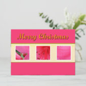 Merry Christmas roze bloem wenskaart Feestdagenkaart (Staand voorkant)