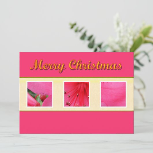 Merry Christmas roze bloem wenskaart Feestdagenkaart (Staand voorkant)