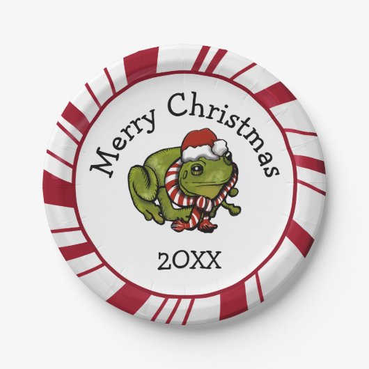 Merry Christmas Santa Frog Plates Papieren Bordje (Voorkant)