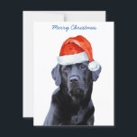 Merry Christmas Schattige Santa Dog Black Labrador Feestdagenkaart<br><div class="desc">Stuur kerstgroeten met deze schattige Black Labrador Santa Dog kaart. Achterkant: Vrolijk kerstfeest ~ Gelukkig Nieuwjaar . Personaliseer met uw familienaam en namen, of verwijder als u met de hand wilt schrijven. Deze zwarte labrador kerstkaart zal een favoriet zijn onder labrador liefhebbers. Bezoek ons collectie voor bijpassende zwarte lab kerstkaarten,...</div>