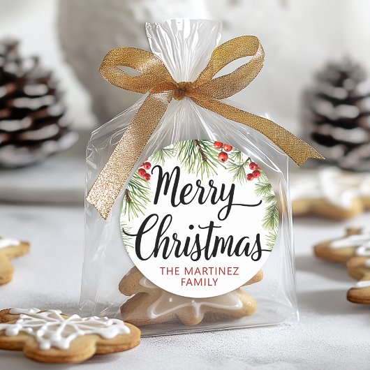 Merry Christmas Script Typografie Ronde Sticker