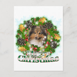 Merry Christmas Sheltie Feestdagenkaart