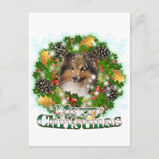 Merry Christmas Sheltie Feestdagenkaart (Voorkant)