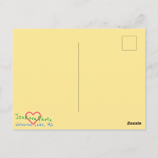 MERRY CHRISTMAS SPRUCE BRIGHT1 BRIEFKAART (Achterkant)