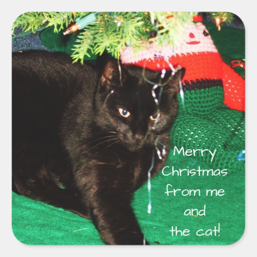 MERRY CHRISTMAS VAN DE CAT-stickers Vierkante Sticker (Voorkant)