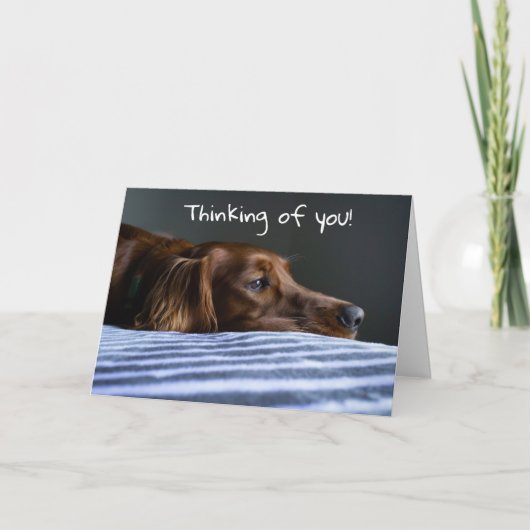 "MERRY CHRISTMAS" VAN SWEET PUP FEESTDAGEN KAART (Voorkant)