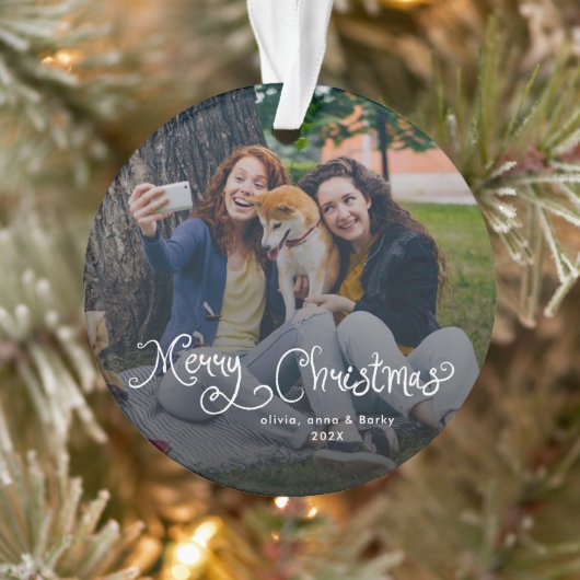 Merry Christmas Whimsical Script Family Photo Dog Ornament (Boom)