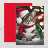 Merry Christmas with a cute kitten Feestdagenkaart (Voorkant / Achterkant)