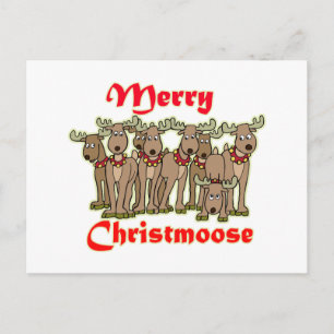 Merry Christmoose Feestdagenkaart