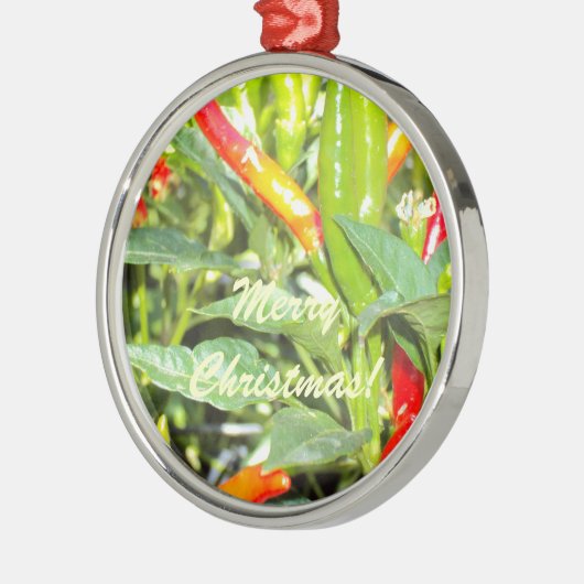 Merry Chritmas Chili Pepper Ornament (Links)