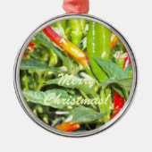 Merry Chritmas Chili Pepper Ornament (Voorkant)