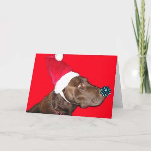 Merry Dogmas. Feestdagen Kaart (Voorkant)