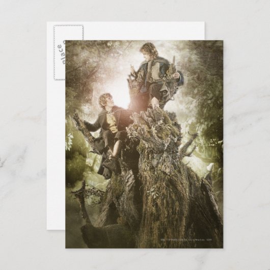 Merry en Peregrin op Treebeard Briefkaart (Voorkant / Achterkant)