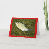 Merry Fishmas. Feestdagen Kaart (Voorkant)