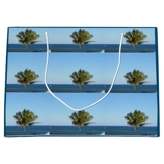 MERRY FLORIDA FEESTDAGEN GROOT CADEAUZAKJE (Voorkant)