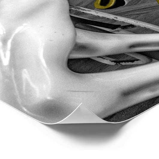 Merry Go Round Carousel Poster (Hoek)