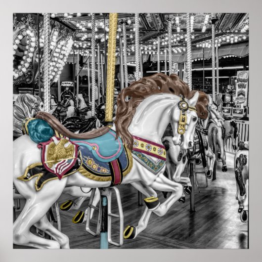Merry Go Round Carousel Poster (Voorkant)