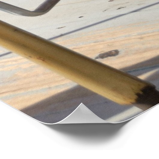 Merry-Go-Round Horses Poster (Hoek)