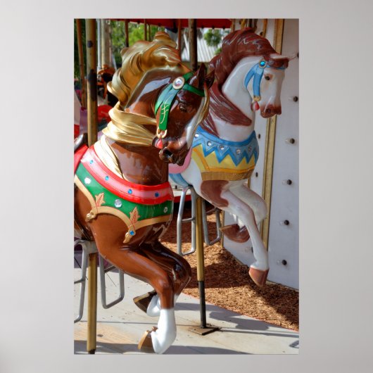 Merry-Go-Round Horses Poster (Voorkant)